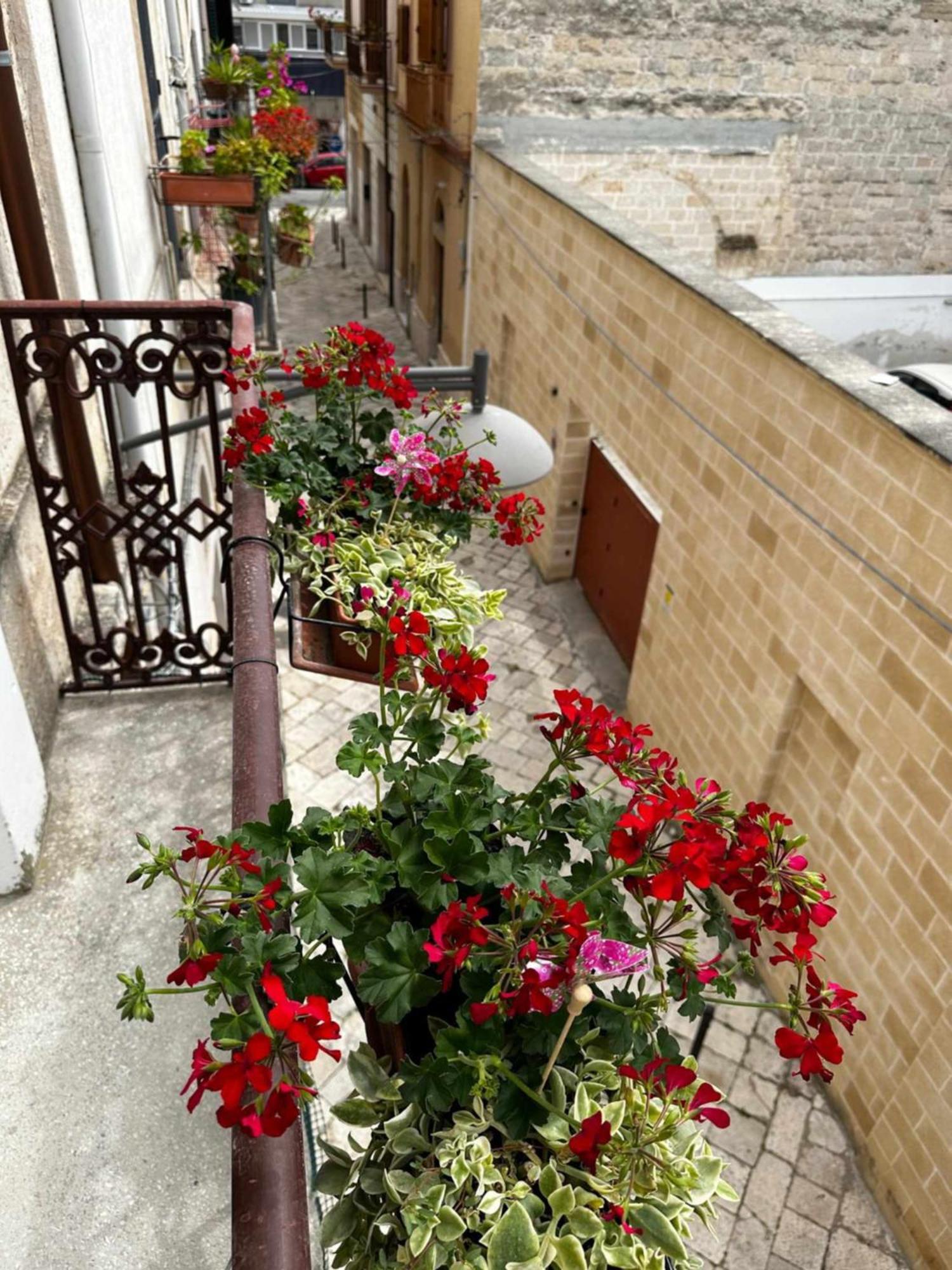 Zephir Suite Brindisi Exterior photo